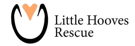 littlehoovesrescue